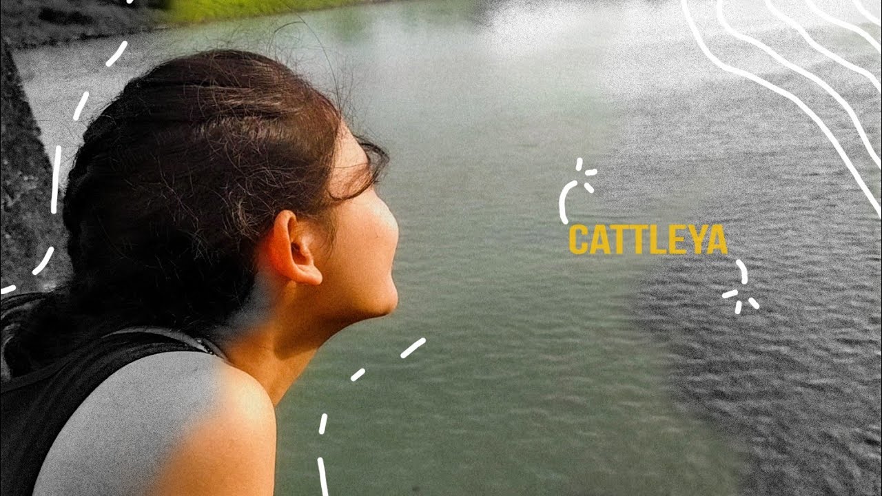 Cattleya lyric video